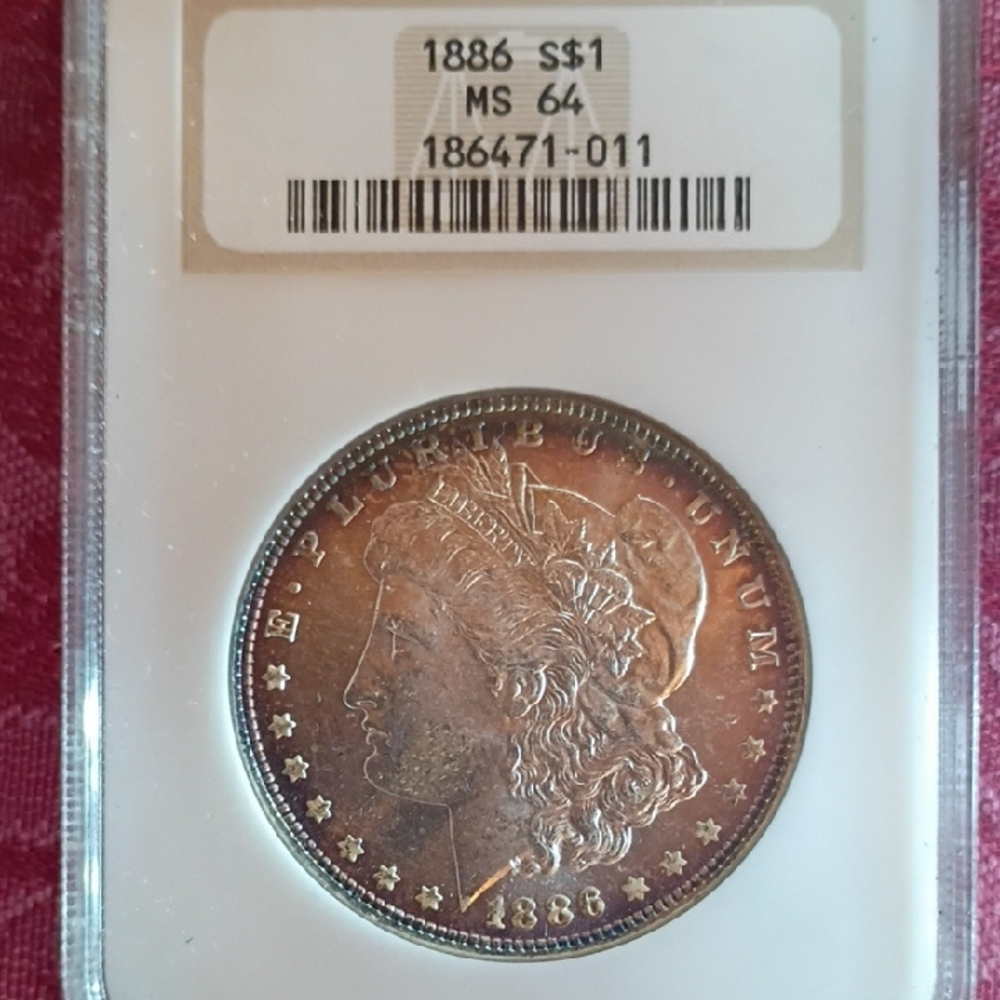 1886 MS-64 Morgan Silver Dollar Natural Petina